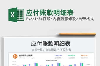 2022应付账款明细上excel表汇总