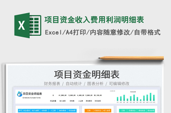 2022項目資金收入費用利潤明細表免費下載