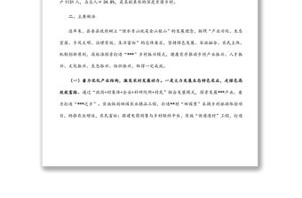 鄉村振興樣板建設情況調研報告