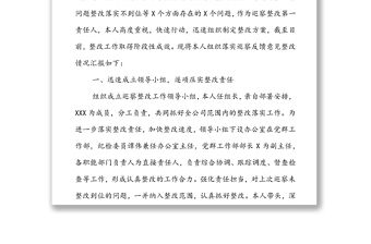 國(guó)企黨支部主要負(fù)責(zé)人組織落實(shí)巡察整改工作情況報(bào)告