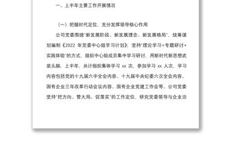 2022年上半年黨建工作情況報告范文集團公司國有企業國企黨建工作匯報總結