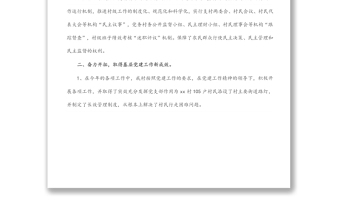 村支部書記2021年述職報告（1）