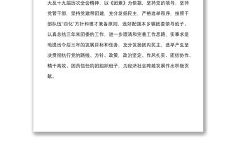 2篇團委換屆工作實施方案范文2篇鄉鎮共青團組織教育系統