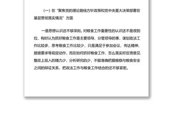 2022年粮食购销系统机动式巡察反馈意见整改专题民主生活会发言提纲