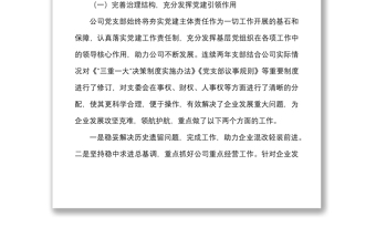 公司黨支部換屆工作報告范文三年工作匯報總結(jié)集團(tuán)國有企業(yè)國企