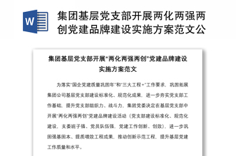 集團(tuán)基層黨支部開展兩化兩強(qiáng)兩創(chuàng)黨建品牌建設(shè)實(shí)施方案范文公司國企創(chuàng)建工作