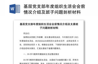 基層黨支部年度組織生活會會前情況介紹及班子問題剖析材料