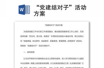 “黨建結(jié)對子”活動(dòng)方案