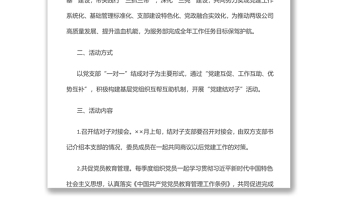 “黨建結(jié)對子”活動(dòng)方案