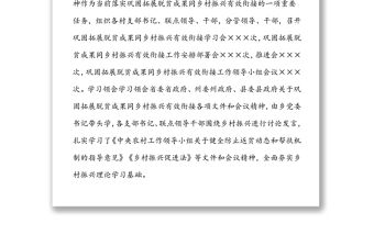 鄉(xiāng)鎮(zhèn)鞏固拓展脫貧攻堅(jiān)成果同鄉(xiāng)村振興有效銜接專項(xiàng)監(jiān)督工作匯報