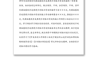 乡镇巩固拓展脱贫攻坚成果同乡村振兴有效衔接专项监督工作汇报