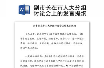 副市長在市人大分組討論會上的發言提綱