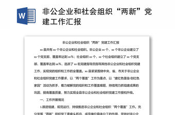 非公企業(yè)和社會(huì)組織“兩新”黨建工作匯報(bào)