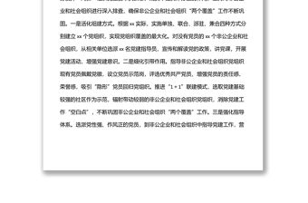 非公企業(yè)和社會(huì)組織“兩新”黨建工作匯報(bào)