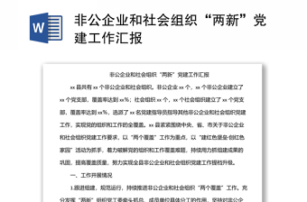 非公企業(yè)和社會(huì)組織“兩新”黨建工作匯報(bào)