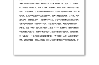 非公企業(yè)和社會組織“兩新”黨建工作匯報