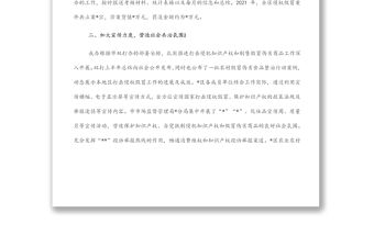 打擊侵犯知識產權和制售假冒偽劣商品工作總結及下一年工作計劃