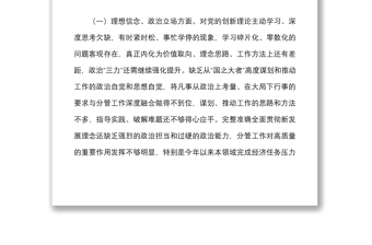 個人D性分析報告范文含理想宗旨紀律作風(fēng)黨校學(xué)習(xí)培訓(xùn)組織生活會個人對照檢查檢視剖析