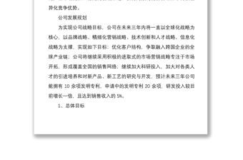 公司的未來戰略規劃及發展目標