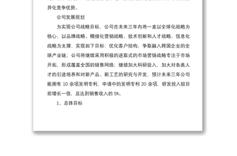 公司的未來戰(zhàn)略規(guī)劃及發(fā)展目標(biāo)