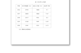 关于加快XX市托育行业发展的调研报告