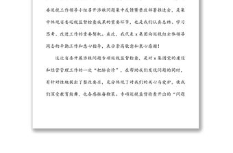 在集團(tuán)涉糧問題專項巡視監(jiān)督檢查集中反饋暨整改部署推進(jìn)會上的表態(tài)發(fā)言材料范文