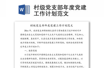 村級黨支部年度黨建工作計劃范文