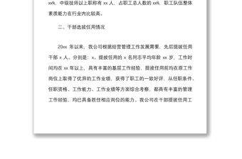 集團公司組織人事工作總結報告范文（企業，巡察組，專題工作匯報）