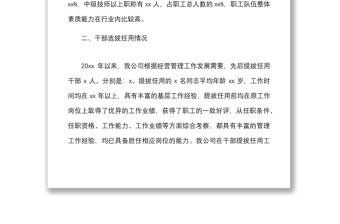 集團(tuán)公司組織人事工作總結(jié)報(bào)告范文（企業(yè)，巡察組，專題工作匯報(bào)）