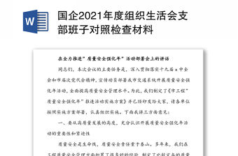 國企2021年度組織生活會支部班子對照檢查材料