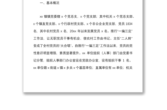 乡镇党委组织人事工作专题汇报材料范文报巡察组工作汇报总结报告