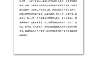 黨建方案2022年黨建工作要點范文國有企業工作計劃方案思路