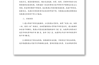 關于適應新時代要求大力發(fā)現(xiàn)培養(yǎng)選拔優(yōu)秀年輕干部的中期規(guī)劃方案（集團公司）
