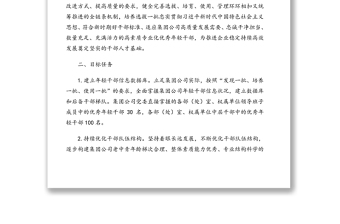 关于适应新时代要求大力发现培养选拔优秀年轻干部的中期规划方案（集团公司）