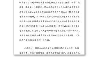 黨支部副書記述職述廉報告