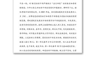 示范區駐村幫扶工作總結