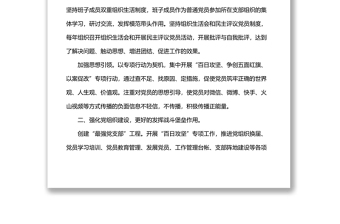 2021年黨總支工作總結(jié)（區(qū)縣紀(jì)委監(jiān)委）