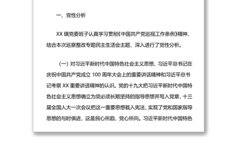 乡镇班子巡察整改专题民主生活会对照检查材料