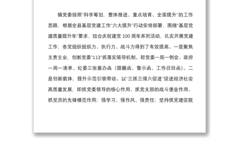 18篇鄉(xiāng)鎮(zhèn)黨委書記基層黨建調研報告范文18篇