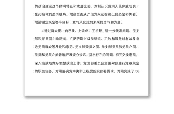 村黨支部委員會和黨員查擺問題清單及整改措施
