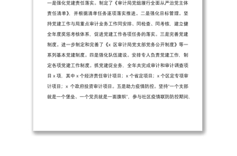 審計局黨組書記抓基層黨建工作述職報告范文
