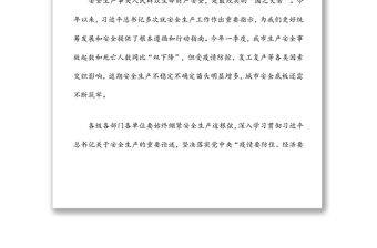 中心組安全生產專題學習討論發言材料