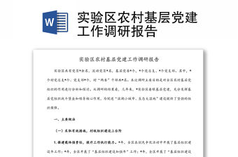 實驗區農村基層黨建工作調研報告