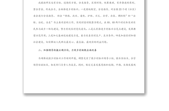 X鎮(zhèn)2022年鄉(xiāng)村振興工作報告