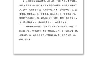 集團(tuán)領(lǐng)導(dǎo)班子建設(shè)匯報(bào)材料范文公司企業(yè)工作匯報(bào)總結(jié)報(bào)告