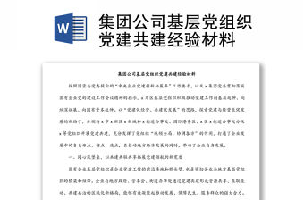 集團公司基層黨組織黨建共建經驗材料