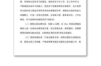 黨支部建設(shè)提升行動(dòng)工作方案范文實(shí)施方案