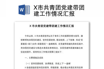 X市共青團黨建帶團建工作情況匯報