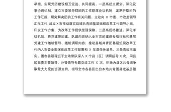 X市共青團黨建帶團建工作情況匯報