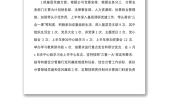 國企領(lǐng)導(dǎo)上半年履行黨建工作一崗雙責(zé)情況報(bào)告范文集團(tuán)公司國有企業(yè)個(gè)人工作匯報(bào)總結(jié)
